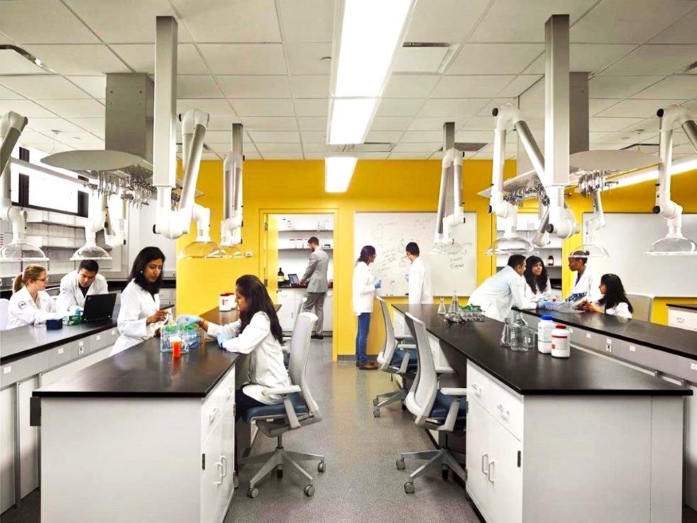 LIU School of Pharmacy, view 1
