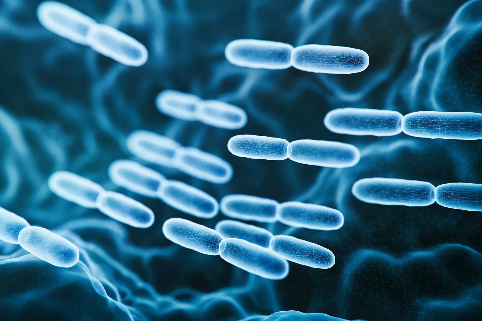 VitaQuest Probiotics Suite, view 2